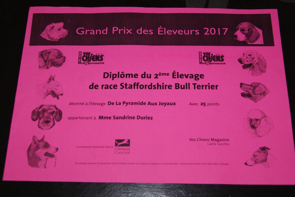 de La Pyramide Aux Joyaux - 2eme meilleur élevage 2017 de staffordshire bull terrier 