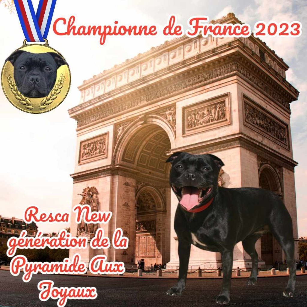 de La Pyramide Aux Joyaux - Championne de France 2023