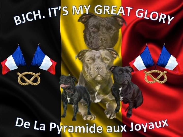CH. It's my great glory de La Pyramide Aux Joyaux