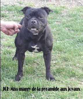 Miss maggy de La Pyramide Aux Joyaux