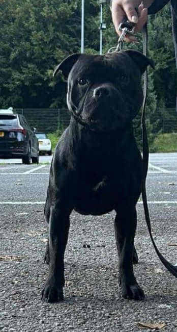 Vegas de La Pyramide Aux Joyaux