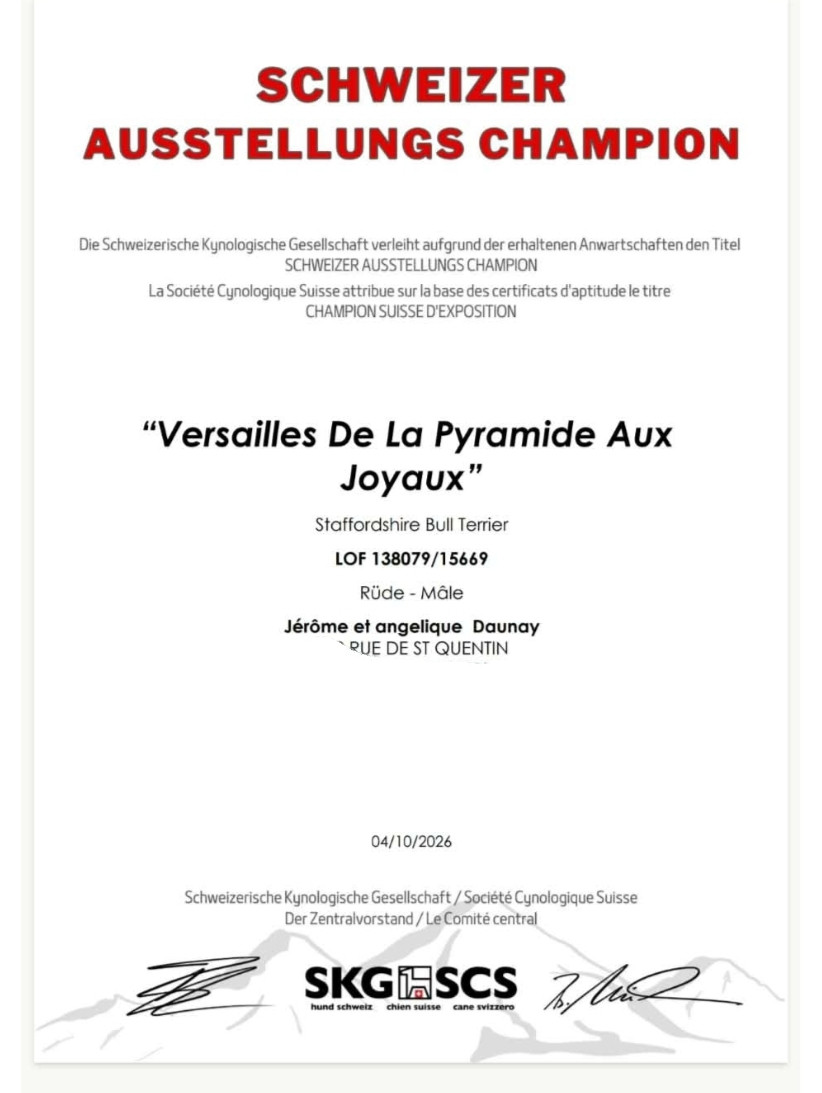 Versailles de la pyramide Aux joyaux