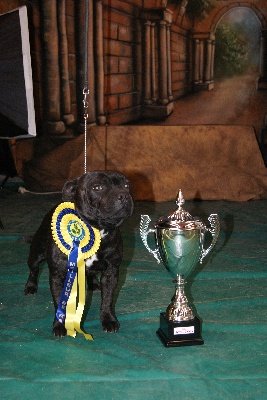 de La Pyramide Aux Joyaux - Cacs, Meilleur de race et  Best in show du  3e  Groupe